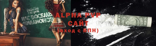 сатива Беломорск