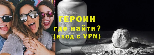 сатива Беломорск