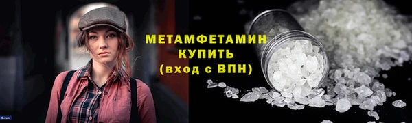 сатива Беломорск
