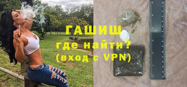 сатива Беломорск
