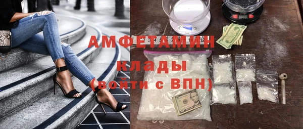сатива Беломорск