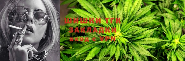 гидропоника Белокуриха