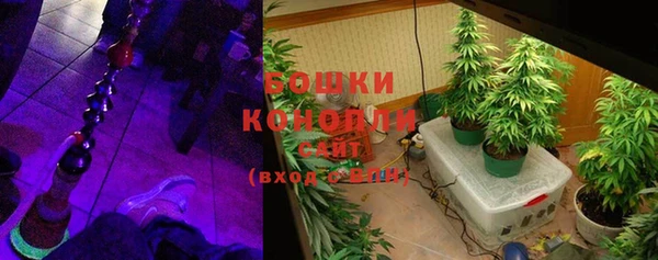 гидропоника Белокуриха
